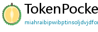 TokenPocket谷歌商店下载 - Google Play商店TokenPocket正版安装指南